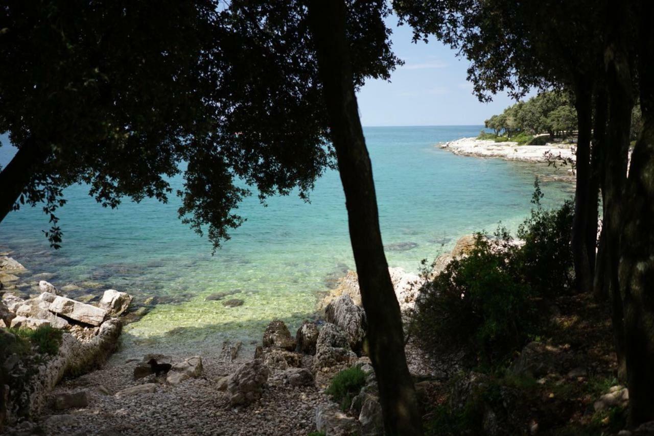 Guesthouse Galeb Vrsar Exterior photo